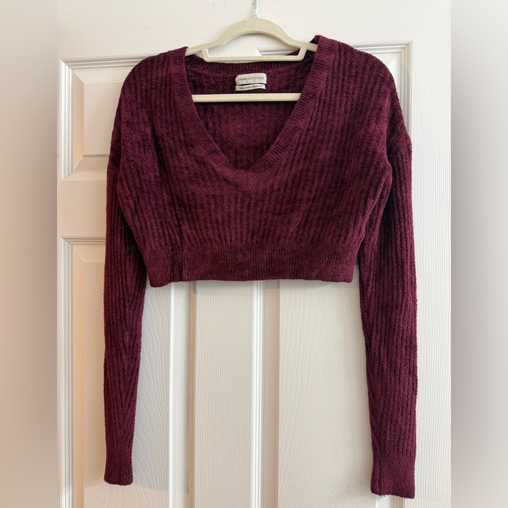Urban Outfitters Deep Burgundy Crop Top